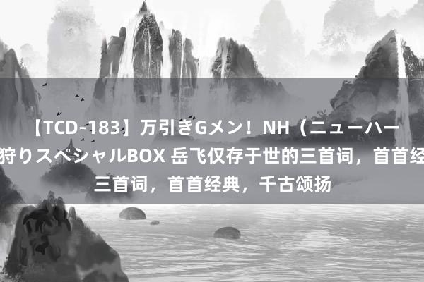 【TCD-183】万引きGメン！NH（ニューハーフ）ペニクリ狩りスペシャルBOX 岳飞仅存于世的三首词，首首经典，千古颂扬