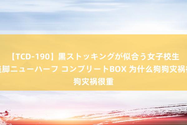 【TCD-190】黒ストッキングが似合う女子校生は美脚ニューハーフ コンプリートBOX 为什么狗狗灾祸很重