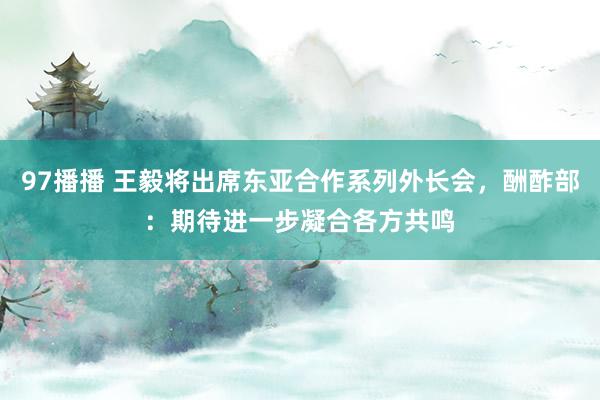 97播播 王毅将出席东亚合作系列外长会，酬酢部：期待进一步凝合各方共鸣