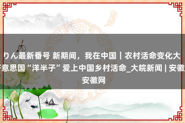 りん最新番号 新期间，我在中国｜农村活命变化大 好意思国“洋半子”爱上中国乡村活命_大皖新闻 | 安徽网