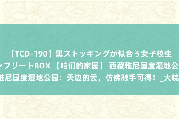 【TCD-190】黒ストッキングが似合う女子校生は美脚ニューハーフ コンプリートBOX 【咱们的家园】 西藏雅尼国度湿地公园：天边的云，仿佛触手可得！_大皖新闻 | 安徽网