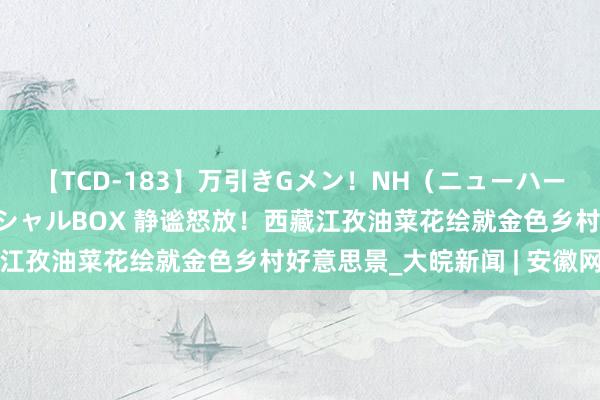 【TCD-183】万引きGメン！NH（ニューハーフ）ペニクリ狩りスペシャルBOX 静谧怒放！西藏江孜油菜花绘就金色乡村好意思景_大皖新闻 | 安徽网