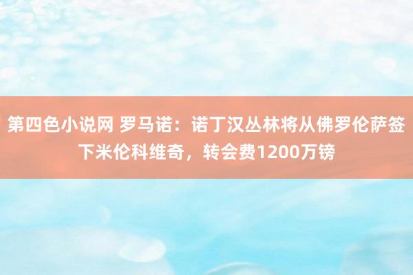 第四色小说网 罗马诺：诺丁汉丛林将从佛罗伦萨签下米伦科维奇，转会费1200万镑