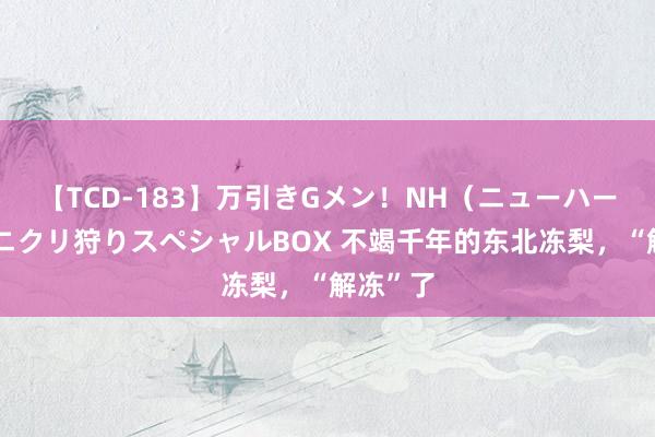 【TCD-183】万引きGメン！NH（ニューハーフ）ペニクリ狩りスペシャルBOX 不竭千年的东北冻梨，“解冻”了