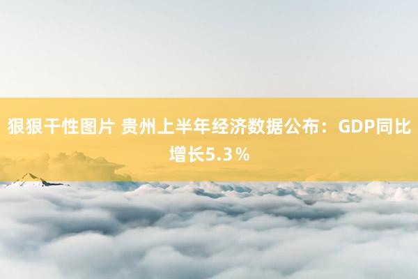 狠狠干性图片 贵州上半年经济数据公布：GDP同比增长5.3％