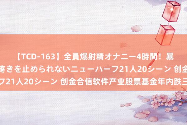 【TCD-163】全員爆射精オナニー4時間！暴発寸前！！ペニクリの疼きを止められないニューハーフ21人20シーン 创金合信软件产业股票基金年内跌三成