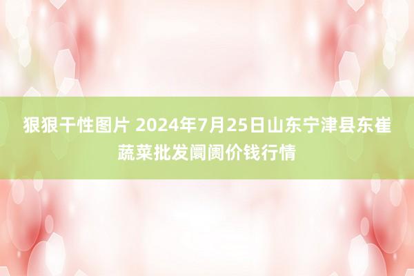 狠狠干性图片 2024年7月25日山东宁津县东崔蔬菜批发阛阓价钱行情