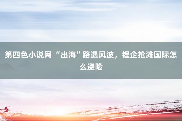 第四色小说网 “出海”路遇风波，锂企抢滩国际怎么避险