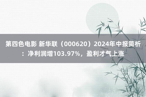 第四色电影 新华联（000620）2024年中报简析：净利润增103.97%，盈利才气上涨