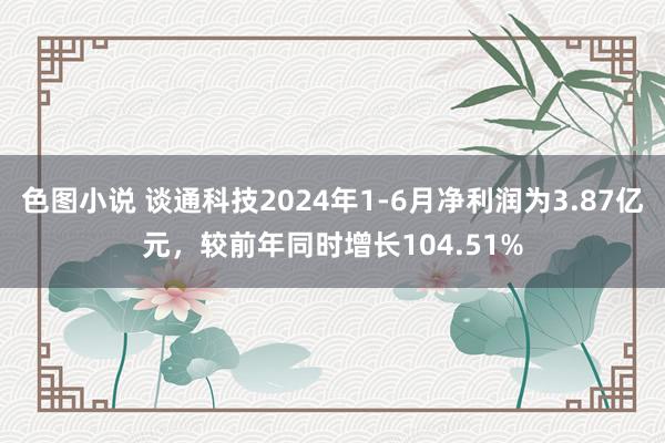 色图小说 谈通科技2024年1-6月净利润为3.87亿元，较前年同时增长104.51%