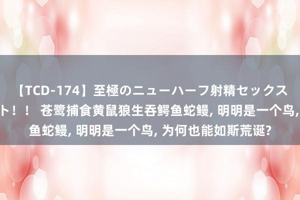 【TCD-174】至極のニューハーフ射精セックス16時間 特別版ベスト！！ 苍鹭捕食黄鼠狼生吞鳄鱼蛇鳗， 明明是一个鸟， 为何也能如斯荒诞?