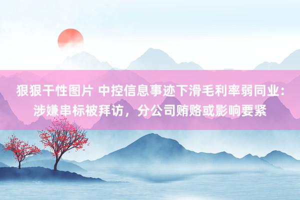 狠狠干性图片 中控信息事迹下滑毛利率弱同业：涉嫌串标被拜访，分公司贿赂或影响要紧