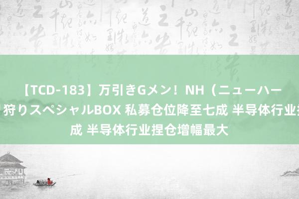 【TCD-183】万引きGメン！NH（ニューハーフ）ペニクリ狩りスペシャルBOX 私募仓位降至七成 半导体行业捏仓增幅最大