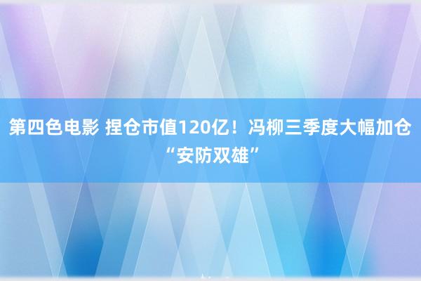 第四色电影 捏仓市值120亿！冯柳三季度大幅加仓“安防双雄”