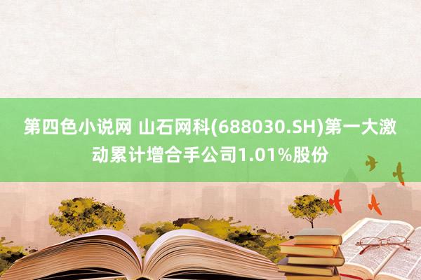 第四色小说网 山石网科(688030.SH)第一大激动累计增合手公司1.01%股份