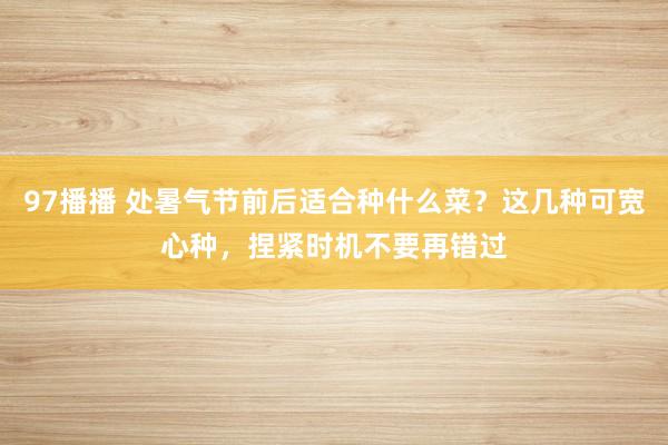 97播播 处暑气节前后适合种什么菜？这几种可宽心种，捏紧时机不要再错过