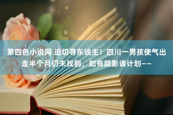 第四色小说网 迫切寻东谈主！四川一男孩使气出走半个月仍未找到，如有踪影请计划——