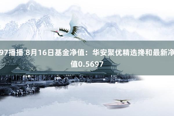 97播播 8月16日基金净值：华安聚优精选搀和最新净值0.5697