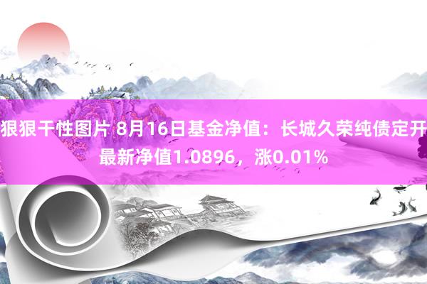 狠狠干性图片 8月16日基金净值：长城久荣纯债定开最新净值1.0896，涨0.01%