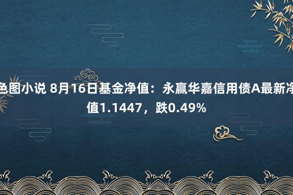 色图小说 8月16日基金净值：永赢华嘉信用债A最新净值1.1447，跌0.49%