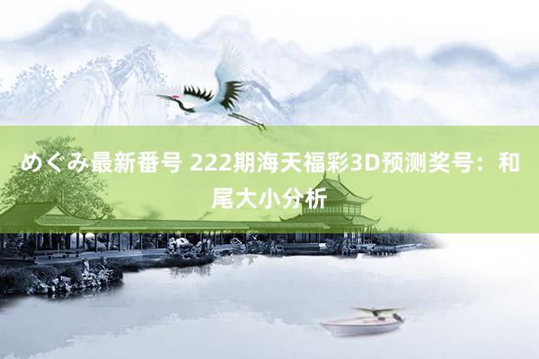 めぐみ最新番号 222期海天福彩3D预测奖号：和尾大小分析