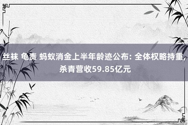 丝袜 龟责 蚂蚁消金上半年龄迹公布: 全体权略持重， 杀青营收59.85亿元