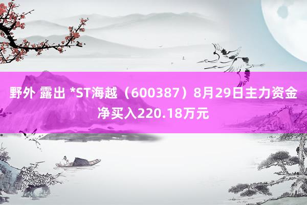 野外 露出 *ST海越（600387）8月29日主力资金净买入220.18万元