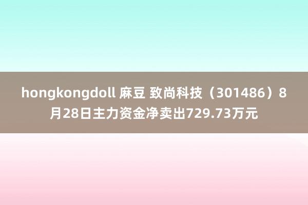 hongkongdoll 麻豆 致尚科技（301486）8月28日主力资金净卖出729.73万元