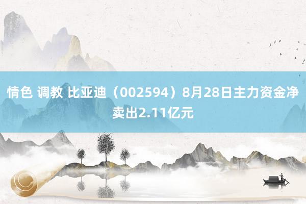 情色 调教 比亚迪（002594）8月28日主力资金净卖出2.11亿元