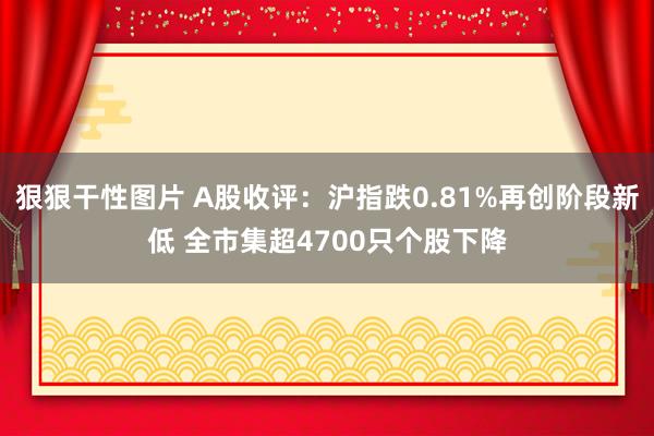 狠狠干性图片 A股收评：沪指跌0.81%再创阶段新低 全市集超4700只个股下降