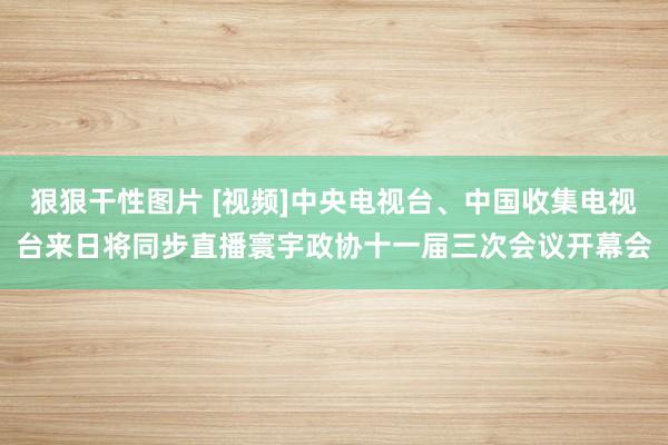 狠狠干性图片 [视频]中央电视台、中国收集电视台来日将同步直播寰宇政协十一届三次会议开幕会