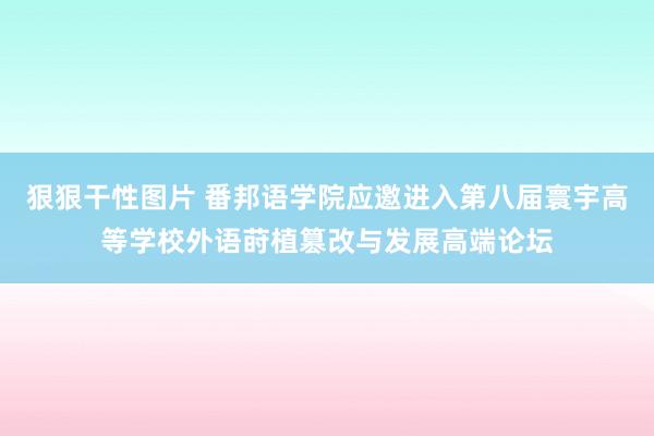 狠狠干性图片 番邦语学院应邀进入第八届寰宇高等学校外语莳植篡改与发展高端论坛