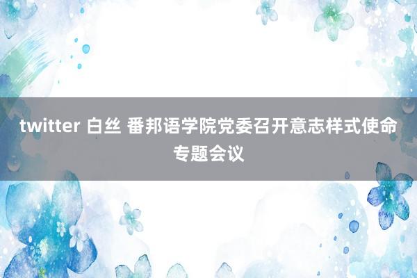 twitter 白丝 番邦语学院党委召开意志样式使命专题会议