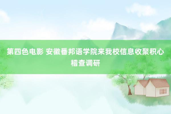 第四色电影 安徽番邦语学院来我校信息收聚积心稽查调研