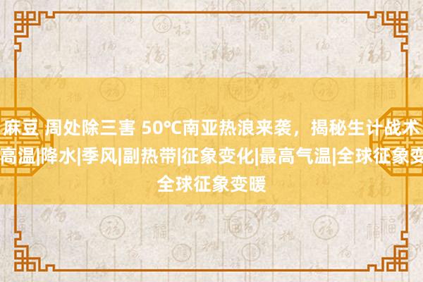 麻豆 周处除三害 50℃南亚热浪来袭，揭秘生计战术！|高温|降水|季风|副热带|征象变化|最高气温|全球征象变暖