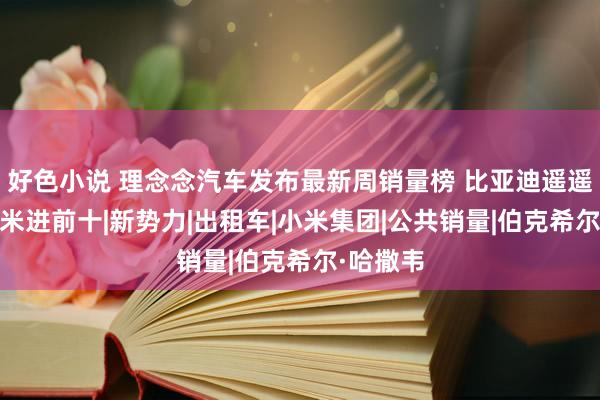 好色小说 理念念汽车发布最新周销量榜 比亚迪遥遥最初 小米进前十|新势力|出租车|小米集团|公共销量|伯克希尔·哈撒韦