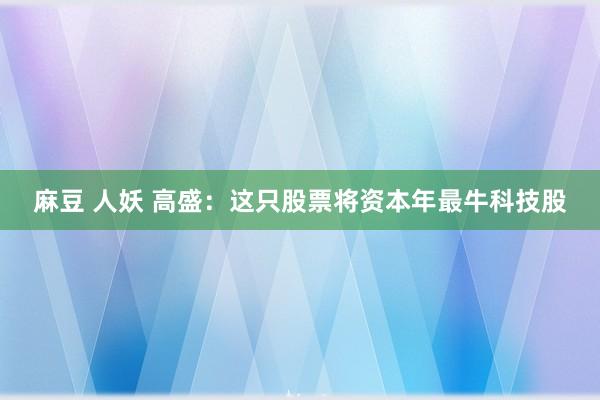 麻豆 人妖 高盛：这只股票将资本年最牛科技股