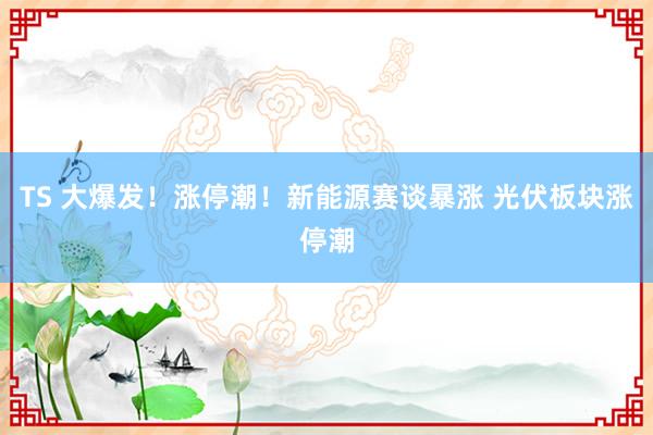 TS 大爆发！涨停潮！新能源赛谈暴涨 光伏板块涨停潮