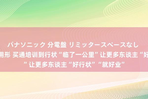 パナソニック 分電盤 リミッタースペースなし 露出・半埋込両用形 买通培训到行状“临了一公里”让更多东谈主“好行状”“就好业”