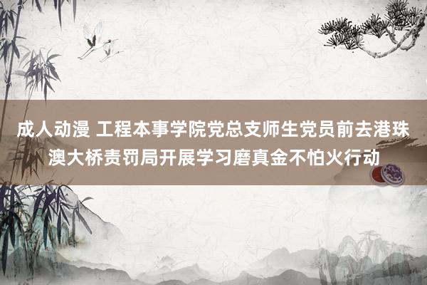 成人动漫 工程本事学院党总支师生党员前去港珠澳大桥责罚局开展学习磨真金不怕火行动